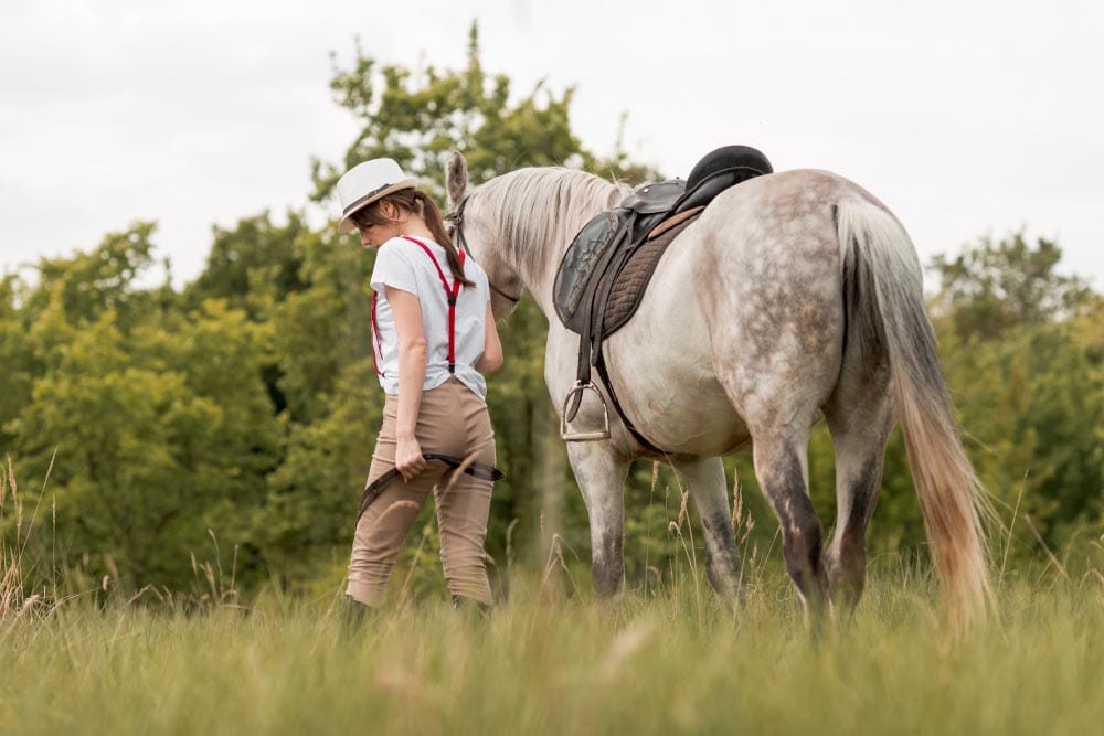 Arthrose Cheval Soins et Bien-être