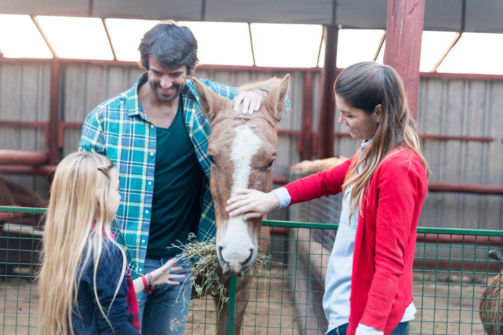 Une expertise certifiée pour tous les animaux du plus jeune âge jusqu'à leur vieillesse