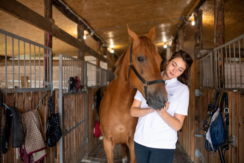 Une expertise dédiée au chien au chat et au cheval dans le Cher