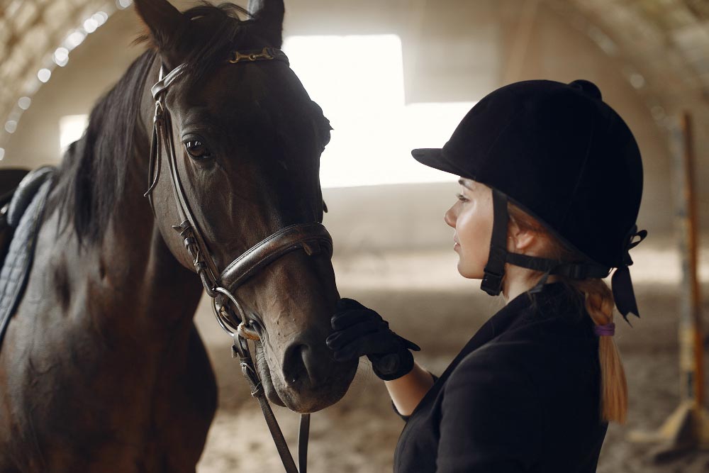 Anxiété et stress chez le cheval