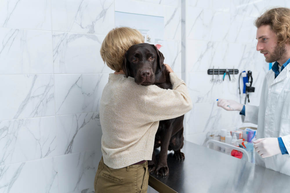 Comment reconnaître les symptômes de l'atteinte vestibulaire chez votre chien ?