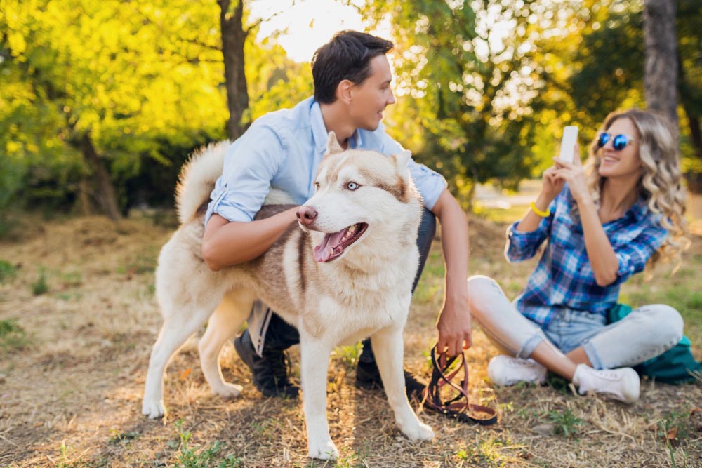 Comment savoir si votre chien est heureux les secrets du bien-être animal et canin