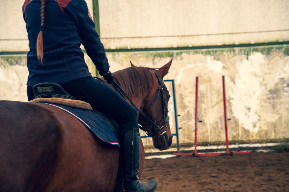 Le renforcement musculaire du cheval forgé le physique du cheval