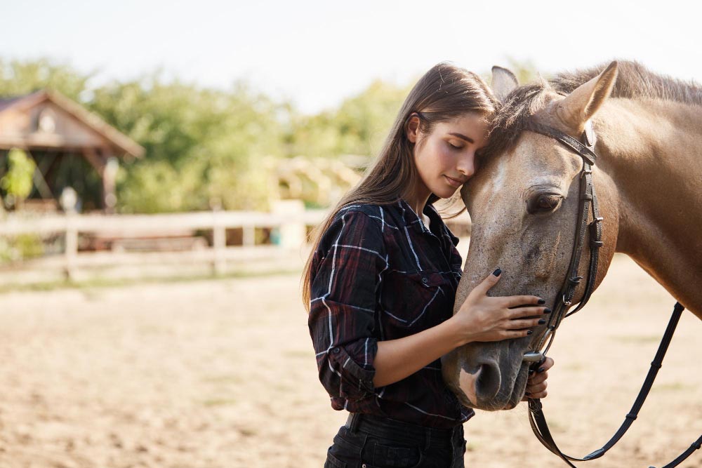 Les lourdes conséquences du stress chez le cheval sur sa fonction digestive