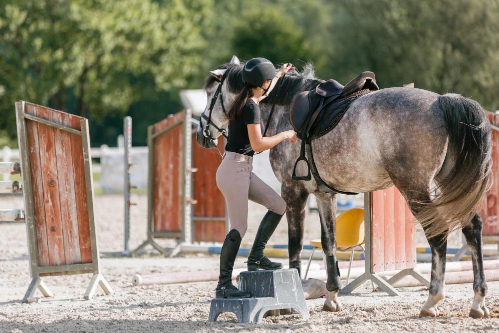 Techniques de récupération active et passive des chevaux après un exercice intense